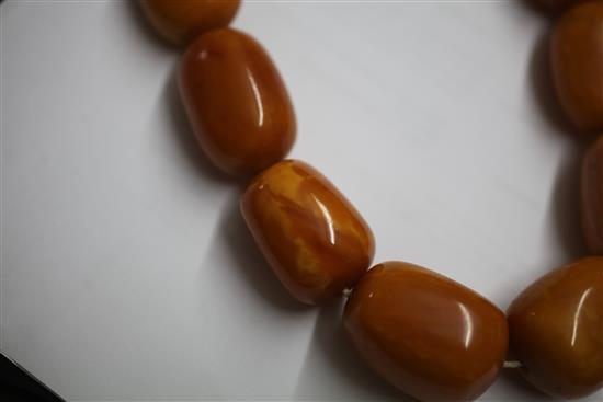 A large single strand graduated amber bead necklace, 36in.